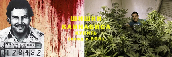 ГАЛЛЮЦИНОГЕННЫЕ ГРИБЫ Абдулино