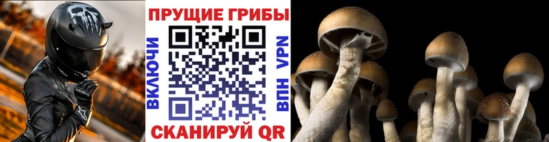 Галлюциногенные грибы мухоморы  где продают   omg сайт  Ковдор 